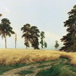 Rye Fields